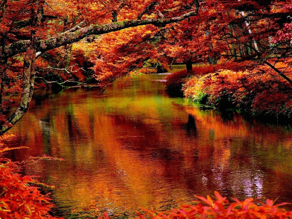 Autumn Creek Wallpaper | Free Autumn Downloads