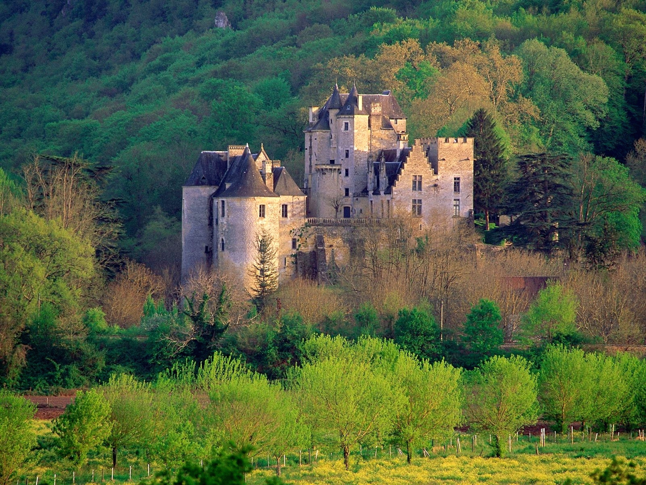 Forest castle. Франция замок Ле Миланд. Замок Фейрак Франция. Замок Лавут-Полиньяк. Замок Мартинваст Франция.