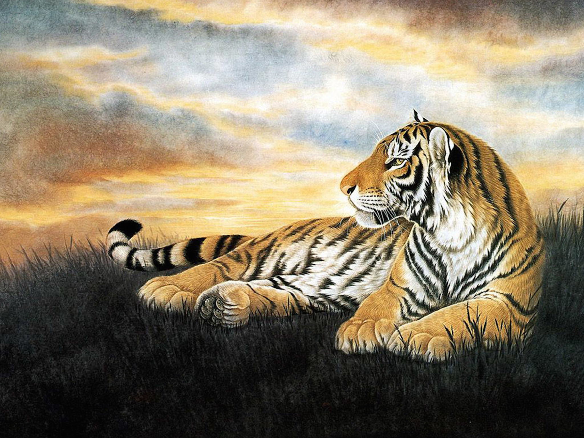 Тигр на острове рисунок