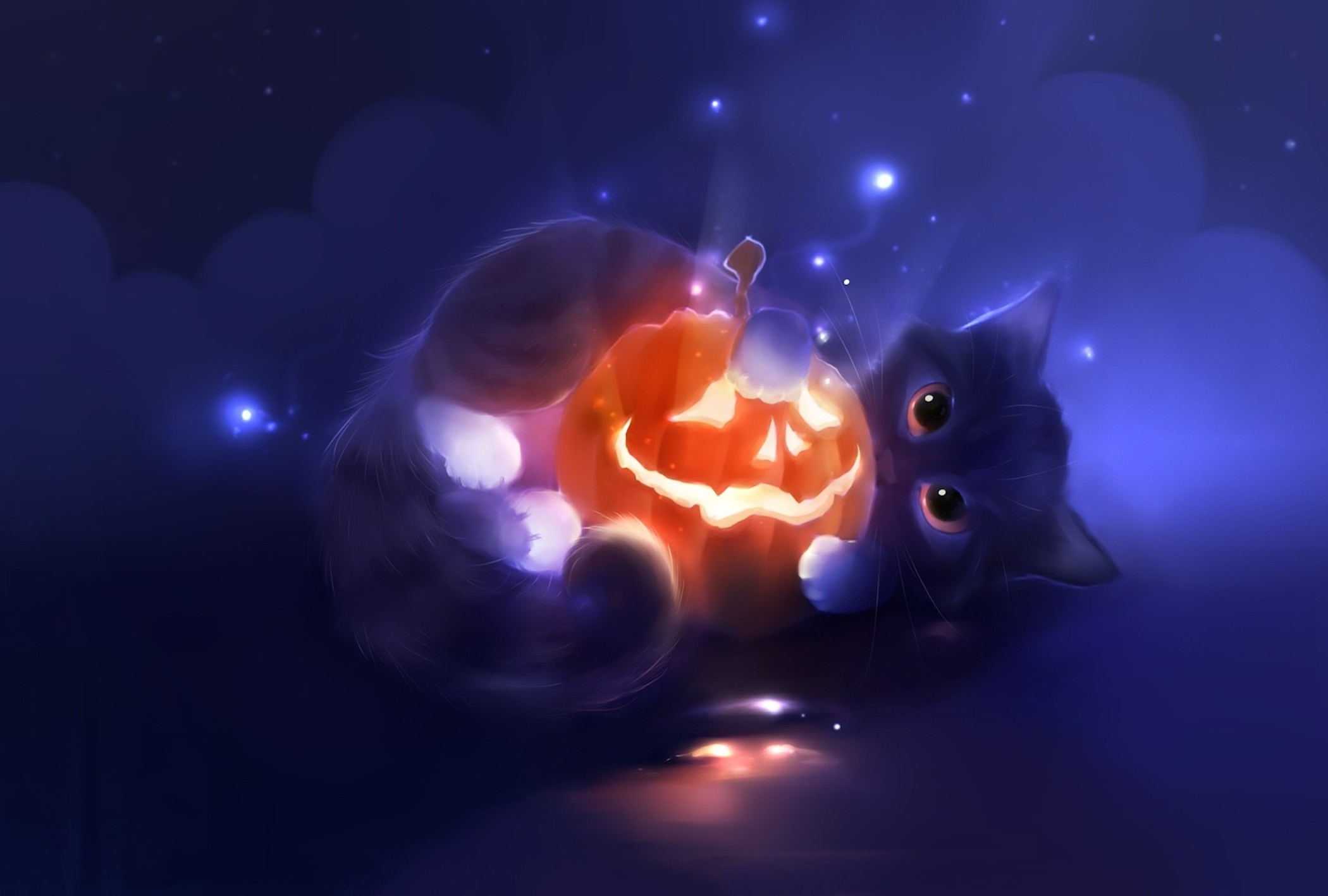 Cute Kitten Pumpkin Wallpaper - Free Kitten Downloads