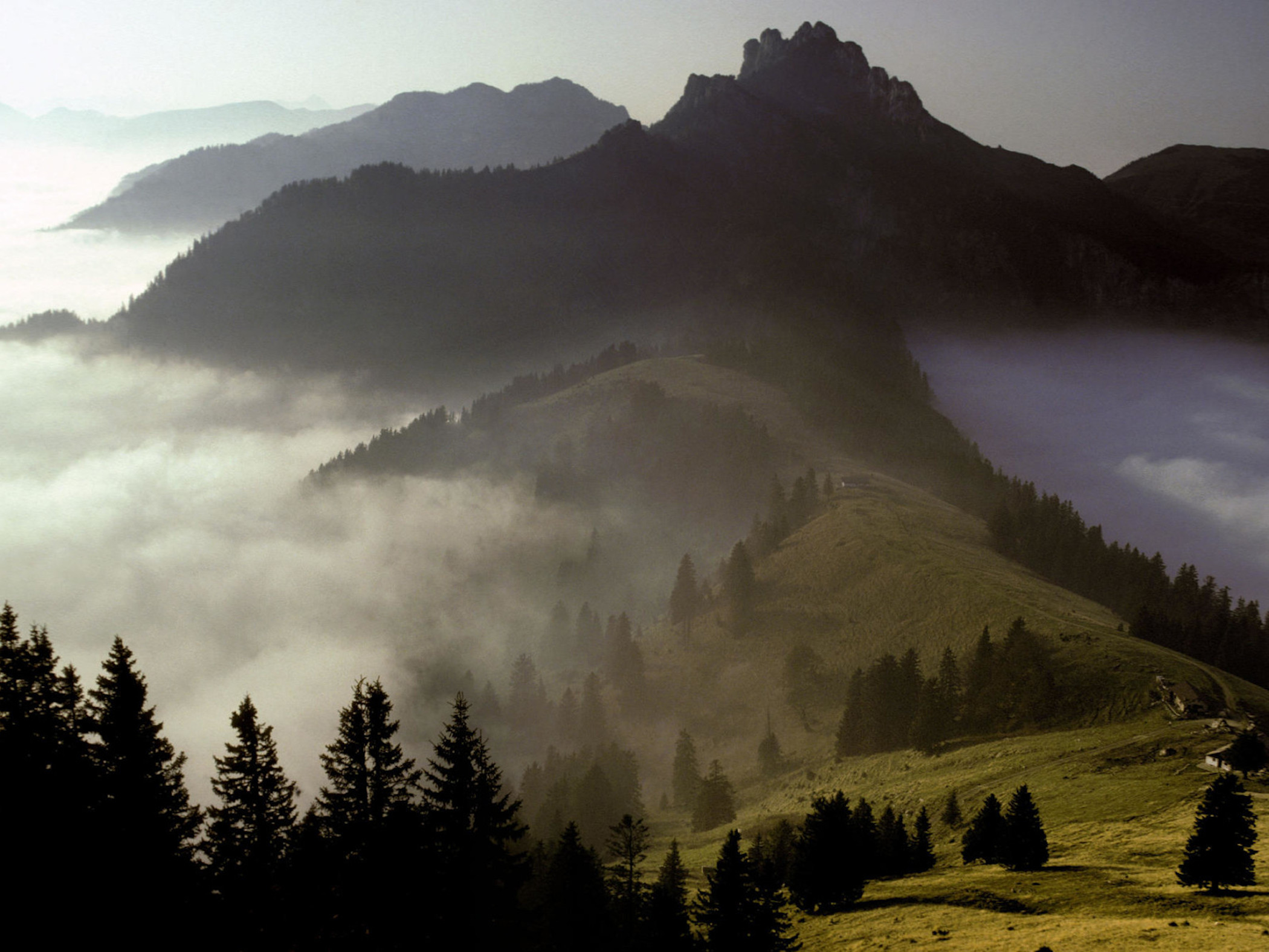 Туман в горах. Туманные Баварские Альпы. Бавария Германия природа туман. Kampenwand Mountain Bavaria. Горы в тумане.