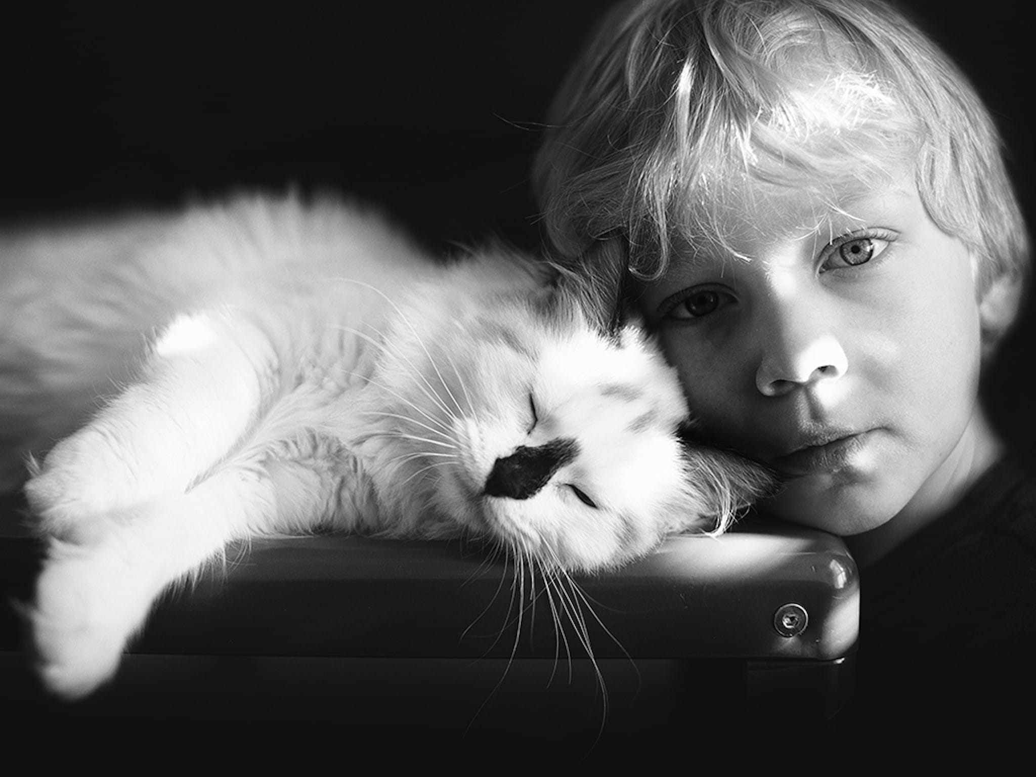 Мальчик и белый кот